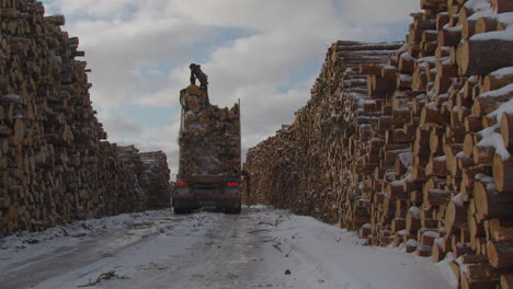 grapple crane operator unloading logs onto piles of logs