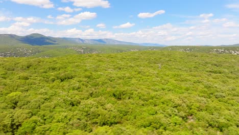 Toma-Aérea-De-Establecimiento-Del-Denso-Bosque-En-Puéchabon,-Francia