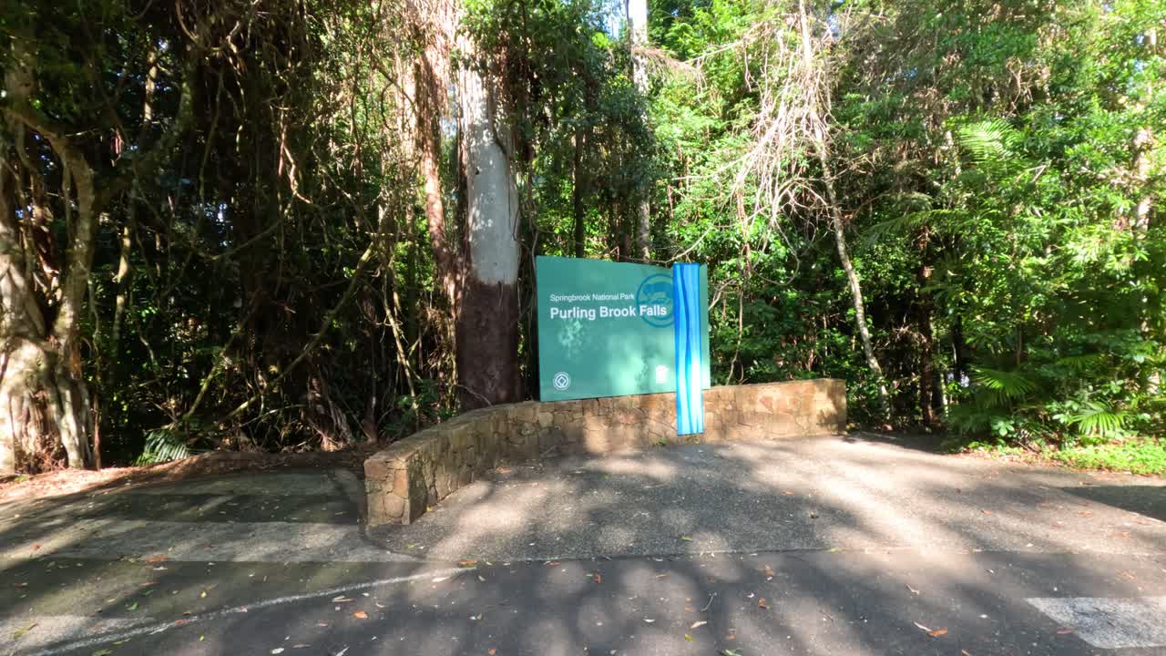 변화하는 그림자와 함께 조용한 숲의 입구의 타임 스.