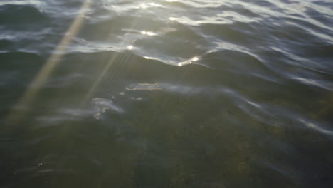 sunlight on water