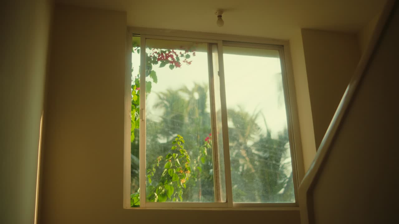 Sunlight through window with plants, peaceful morning setting indoors