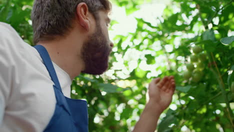 trabajador del jardín inspeccionando las verduras proceso de cosecha tableta en el jardín de cerca