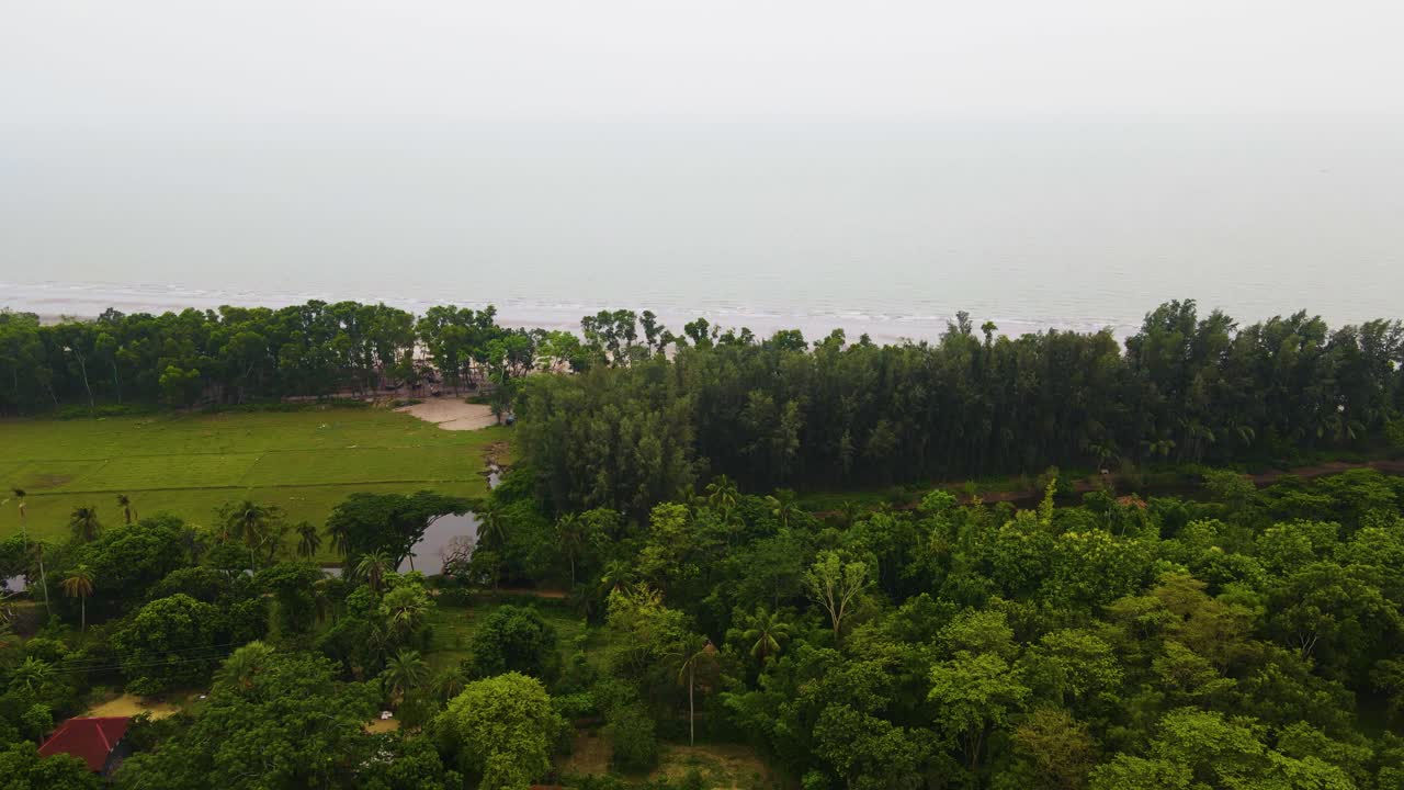 Aerial view of Kuakata's Jhau forest serving as a natural embankment by the sea in Bangladesh