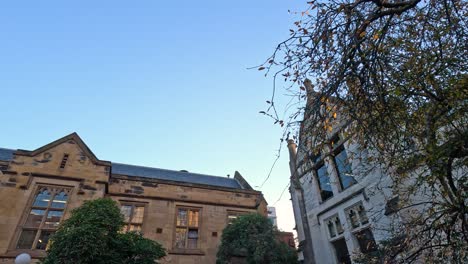 old building with tree in foreground