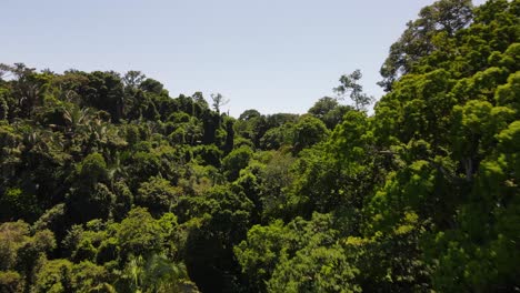 Drone-view-flying-over-the-tropical-forest-of-National-Park-Manuel-Antonio,-Costa-Rica