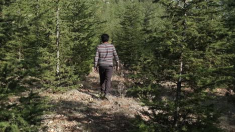 man walking nature