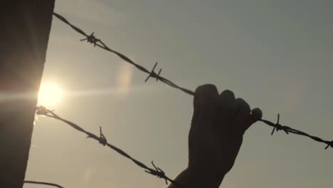 trapped behind barbed wire fence as sun falls