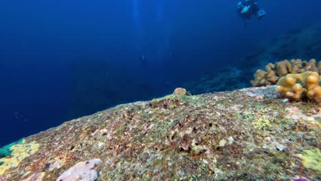 在西米蘭群島的海底懸崖上空漂浮