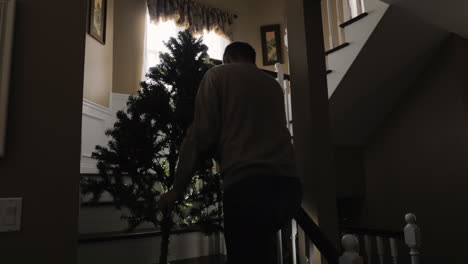 Man-Carries-Christmas-Tree-Upstairs