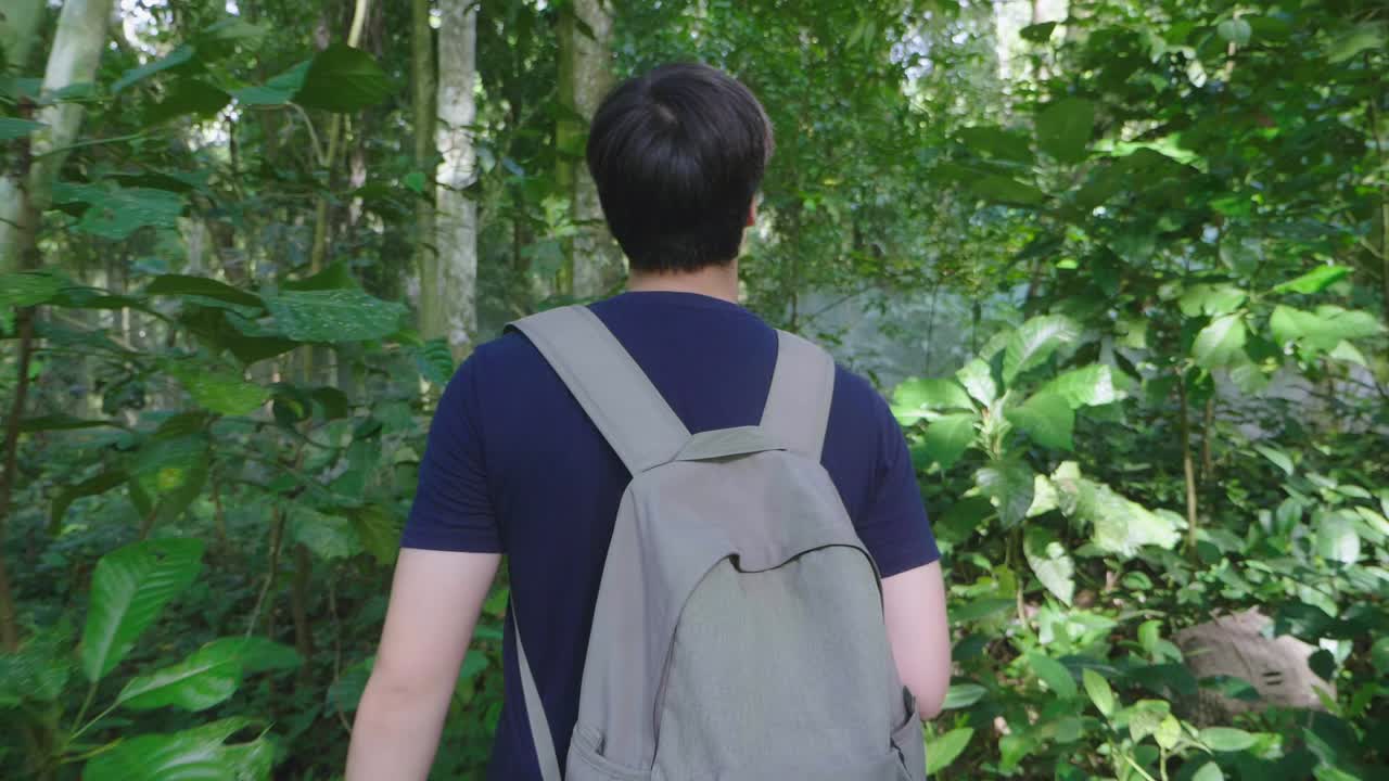 Man Hiking In Deep Forest, Slow Motion