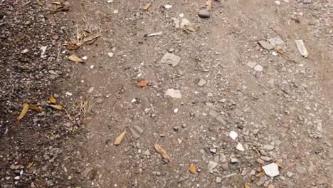 point of view walking on rocky red soil