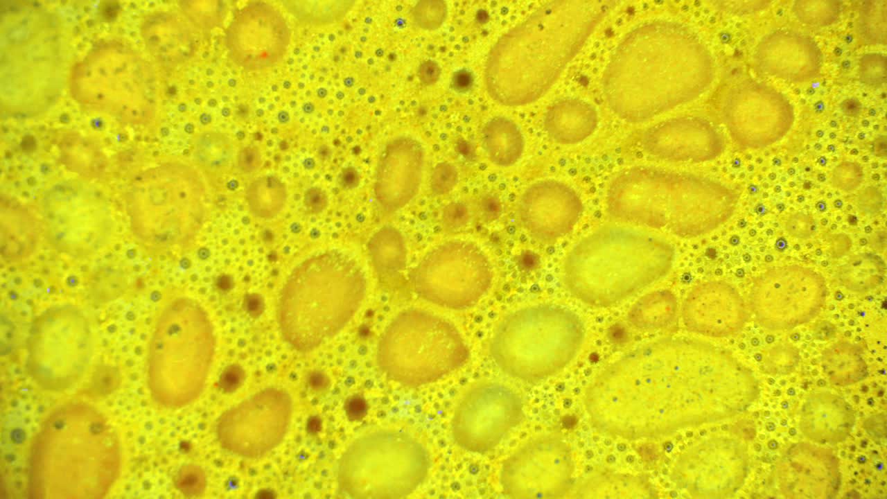 el rizado de las pinturas