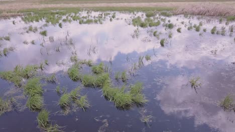 Aerial-view-of-a-shallow-prairie-pond,-with-clouds-in-reflection