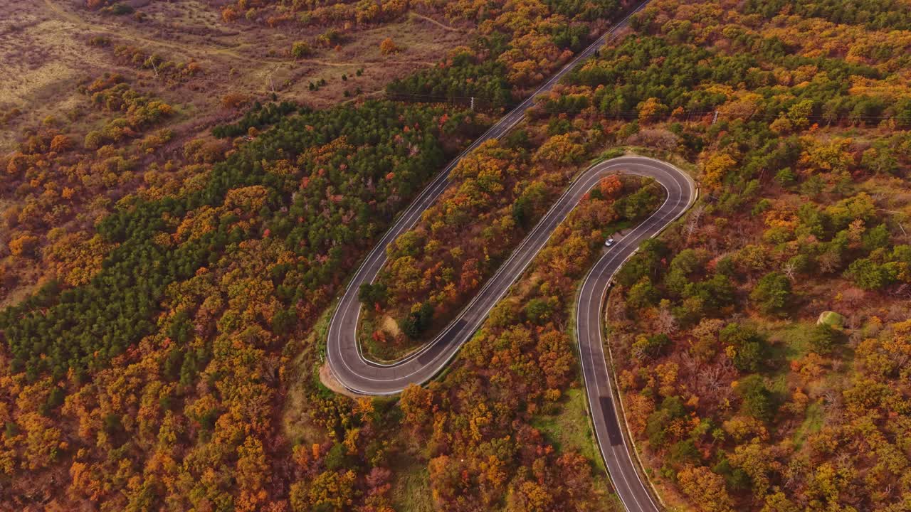 Winding road through vibrant autumn foliage in Bulgaria's countryside