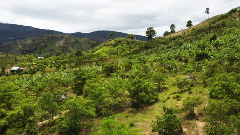 paisaje escénico en las colinas del parque nacional phuoc binh en vietnam con un dron aéreo que revela el exuberante bosque verde