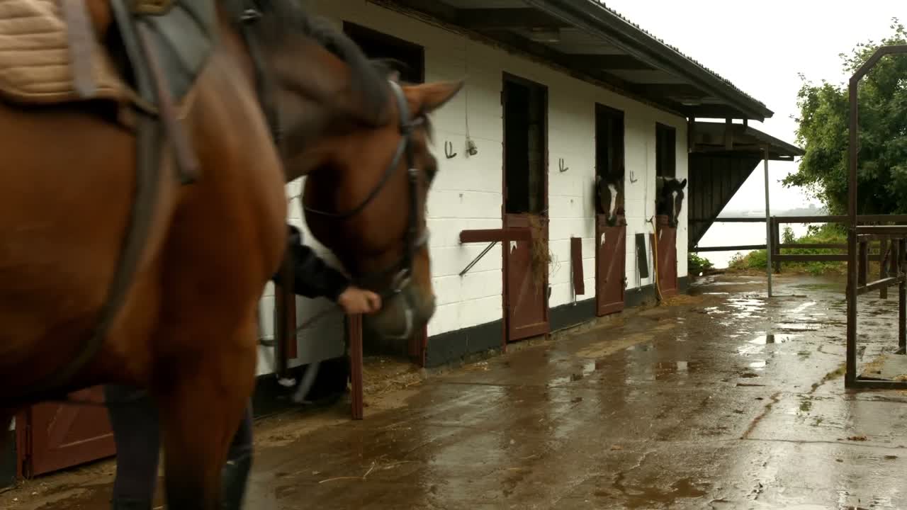 Pretty brunette leading her horse