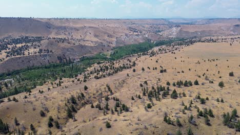 drone aerial landscape of pine trees in valley warm springs indian reservation desert nature in oregon usa america countryside travel tourism outdoors hiking wilderness