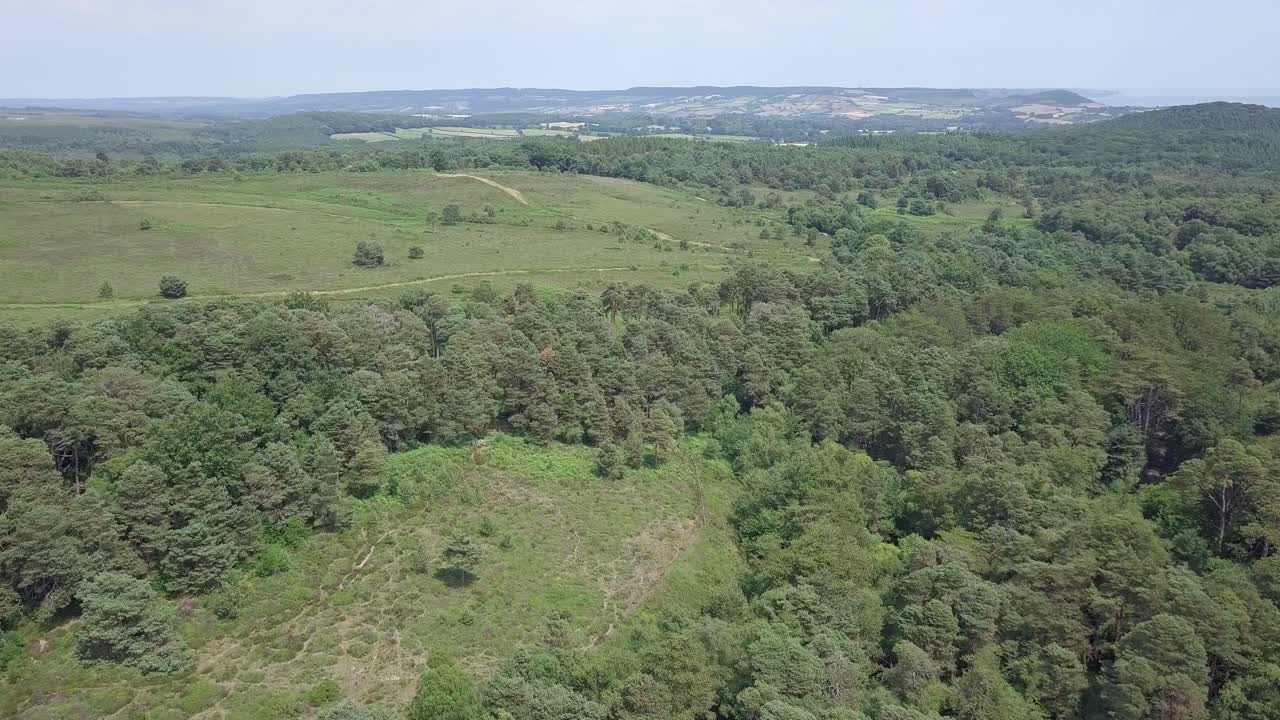 volando sobre bosques verdes y campos extensos en devon, reino unido