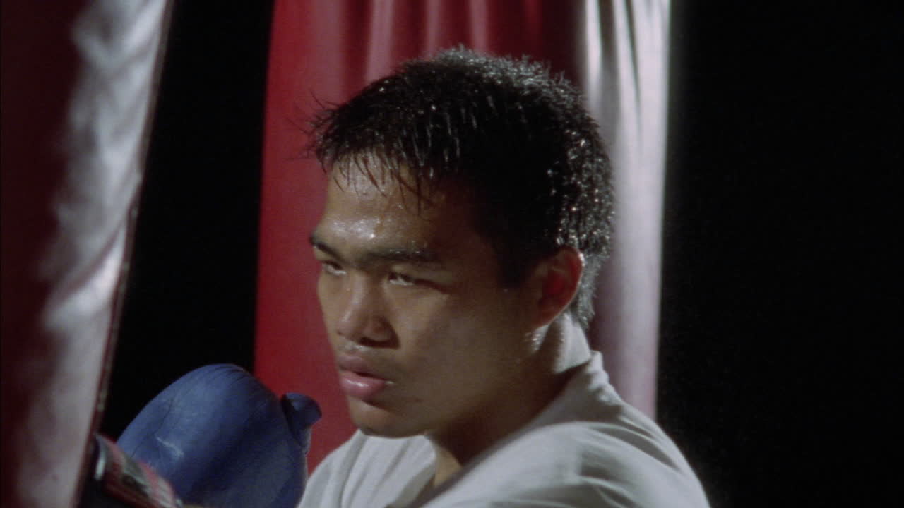 펀치 백에서 복서 연습