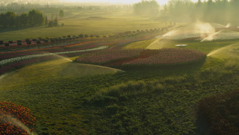 Bewässerung-Von-Pflanzen-Im-Frühlingsgarten.-Blick-Auf-Das-Bewässerungssystem-Am-Frühen-Morgen