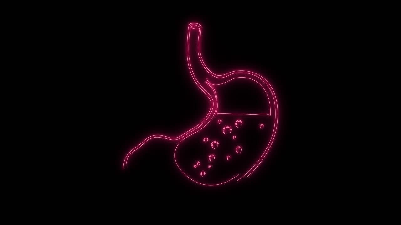 Animated Neon Outline of Human Stomach with Bubbling Acid