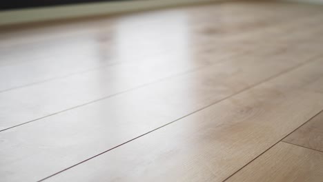 close up of a light wood floor