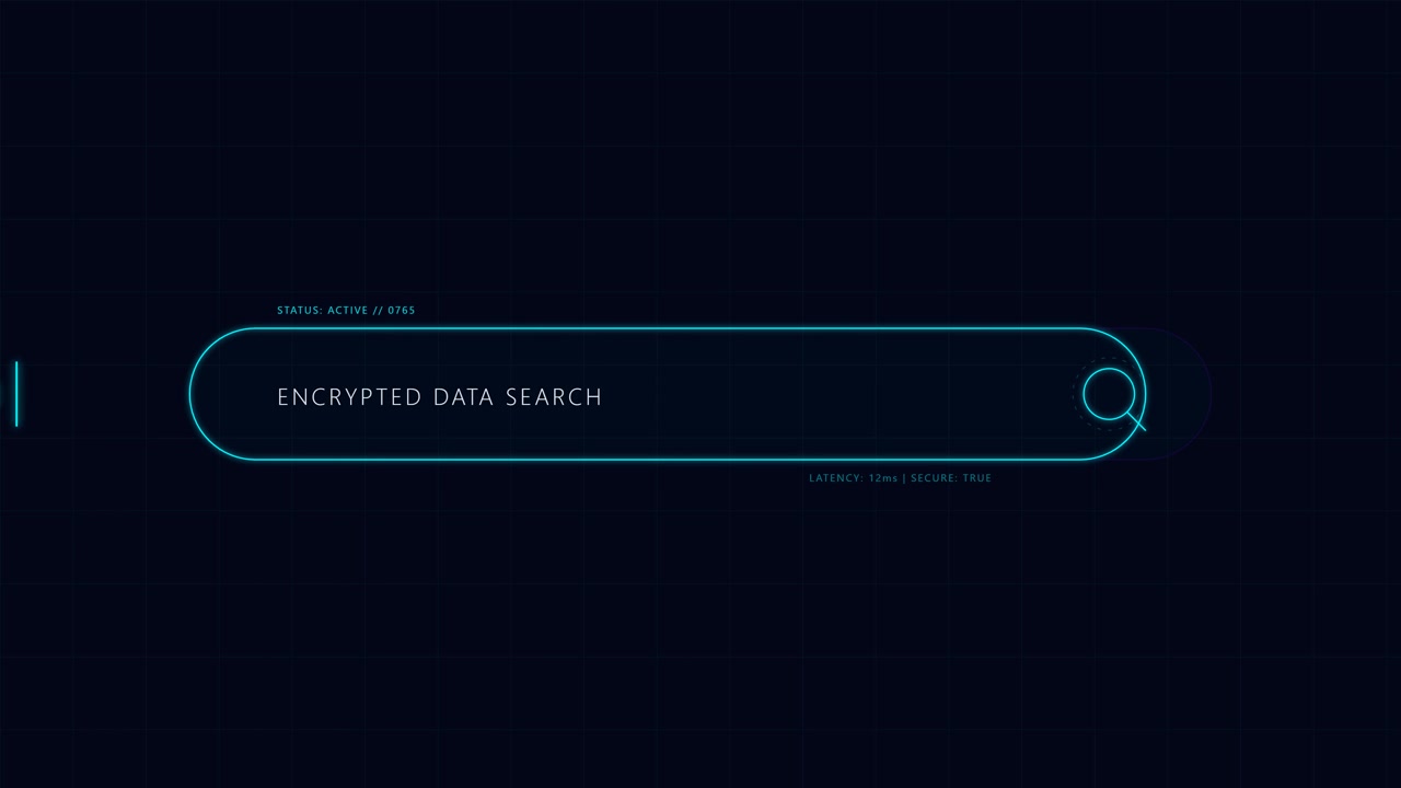 Digital Interface Displaying Encrypted Data Search Animation