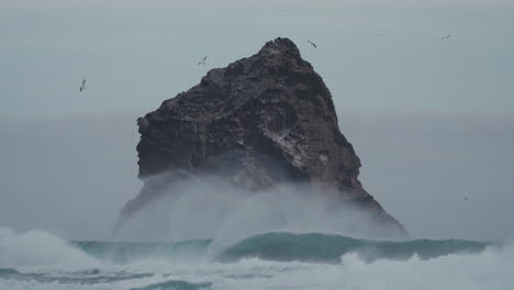 El-Oleaje-Se-Estrelló-Contra-La-Roca-De-La-Cabeza-Del-León-Durante-Una-Tormenta-En-La-Bahía-De-Sandfly,-Dunedin,-Nueva-Zelanda