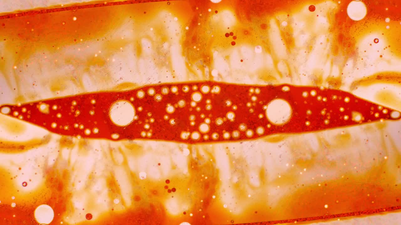 그림의 추상적인 패턴