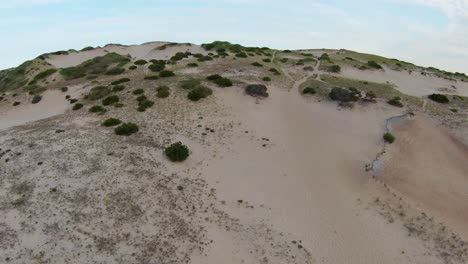 toma de drones fpv de los asombrosos senderos áridos, dunas de arena y laderas empinadas con un pequeño follaje tupido ubicado en el sendero dune shacks en la provincia de cape cod, massachusetts