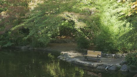 view of an empty bench in lithia public park side of the water