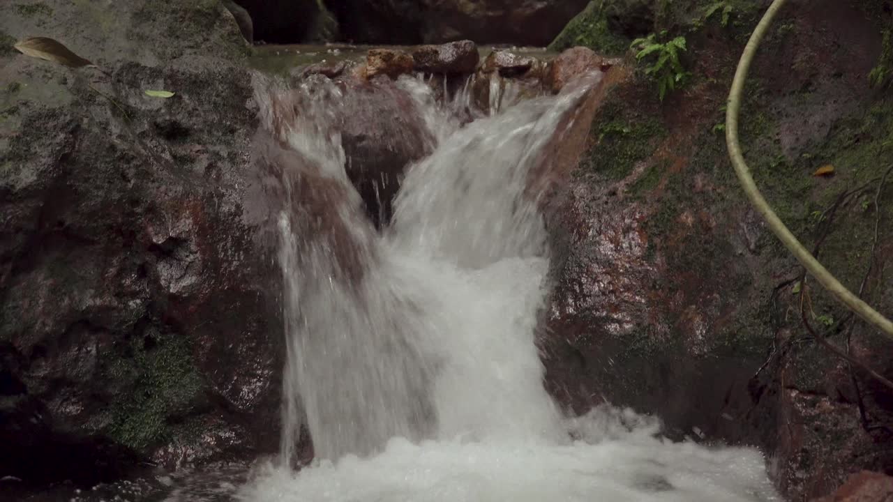 arroyo corriendo rápido en la selva tropical