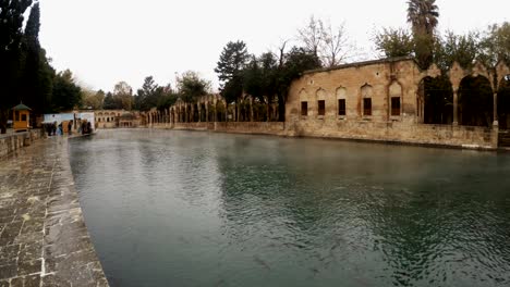 fog spreads under pool of sacred fish in courtyard of mosque of halil-ur-rahman