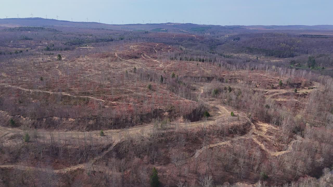 Winding valley road and forested homes near Lead Mine, West Virginia, USA in spring