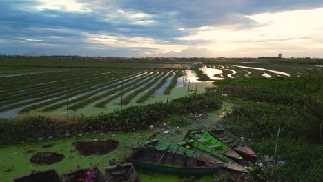 abandoned fishing boat by agriculture paddy rice field, asian crop, cambodia