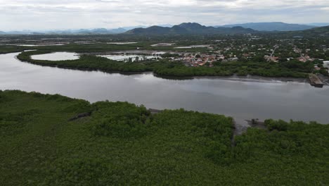 Luftaufnahme-Von-Mangrovenwäldern-Und-Einem-Fluss-In-Lateinamerika,-Honduras
