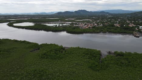 vista aérea del bosque de manglares y un río en américa latina honduras