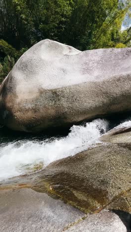 river flowing over rocks in a bamboo forest