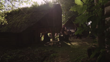 viking village scene