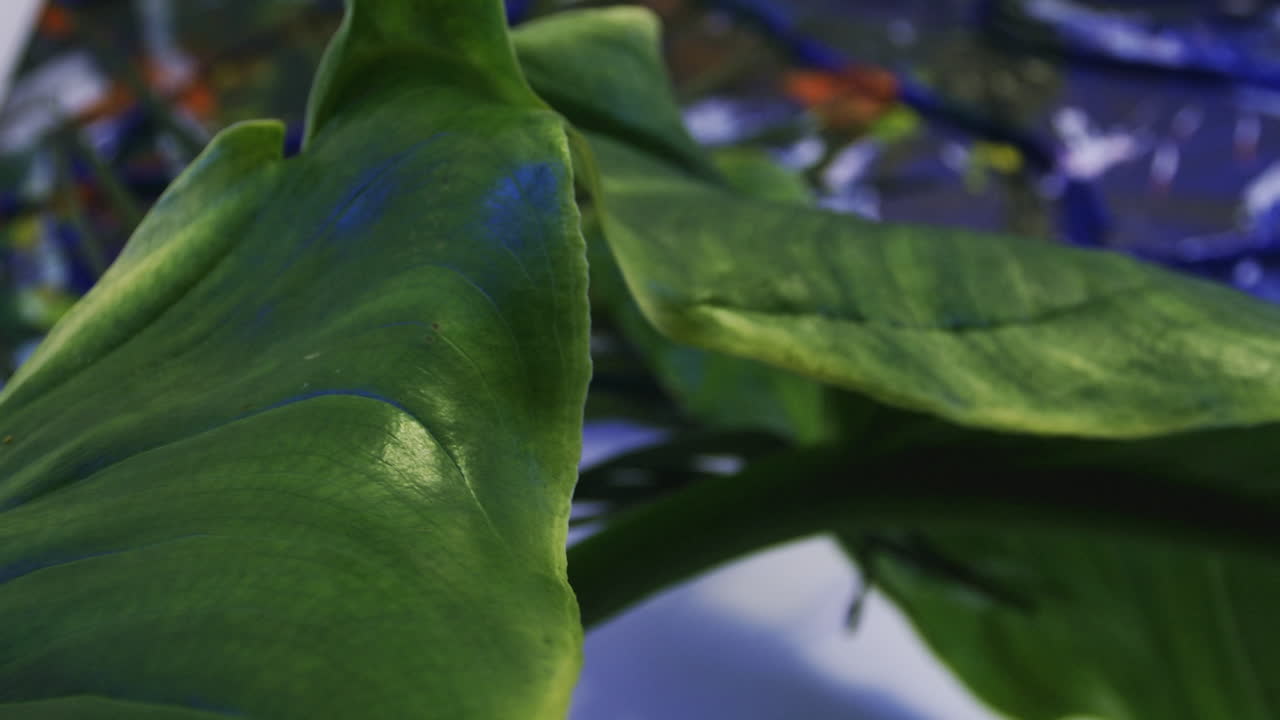 A plant and a painting in the background.