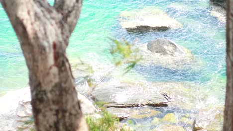 a tranquil scene of turquoise waters and rocky shoreline viewed through tree branches, captured in bright daylight