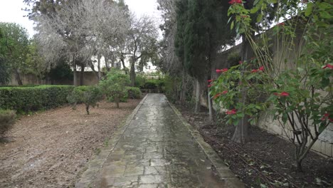 plantas y árboles que crecen cerca de bancos de piedra con un gato atigrado en los jardines de san antón