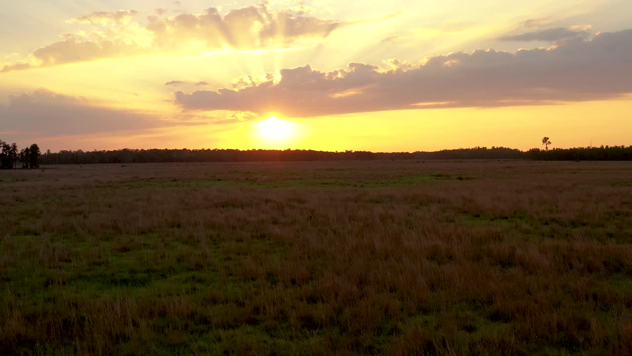 플로리다에 있는 땅 오' 호수의 시골에서 큰 오렌지 일몰의 낮은 조감도