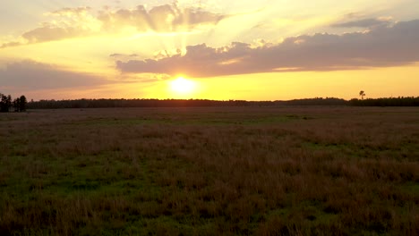 Low-aerial-view-of-a-big-orange-sunset-in-the-countryside-of-Land-O'-Lakes-in-Florida