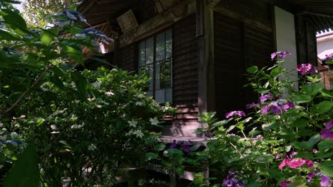 stunning slow motion cinematic push in toward traditional wooden house at japanese shrine