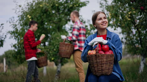 blonde lady has picked a full basket of apples and resting. man and boy collect fruit from tree at backdrop in blur.