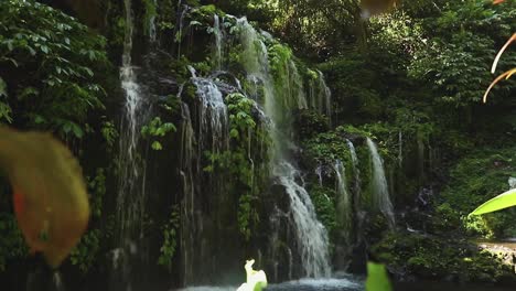 sunny day in the waterfall surrounded by green nature of bali - wana amertha waterfall - indonesia