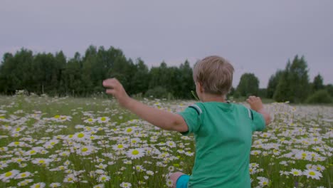 child running through a chamomile field