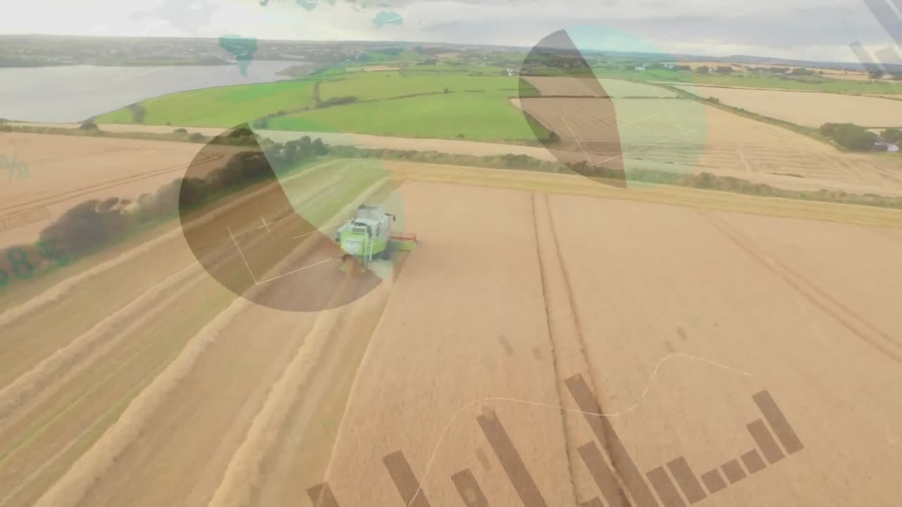 animación del procesamiento de datos financieros en el campo de la agricultura