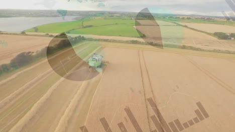 animación del procesamiento de datos financieros en el campo de la agricultura